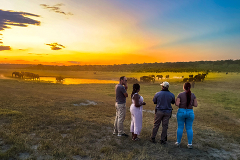 Victoria Falls: Game Walk in the Zambezi National ParkAfternoon Game Walk