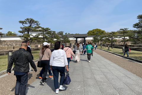 Osaka Osaka Castle Tower Guidad turPrivat tur