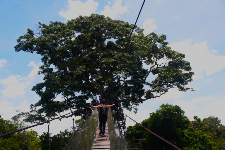 Puerto Maldonado: Tambopata Adventure + Lunch + 5 Activities