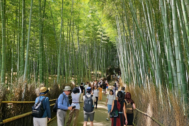 Kioto: Visita guiada de 3 horas al bosque de bambú de ArashiyamaTour privado