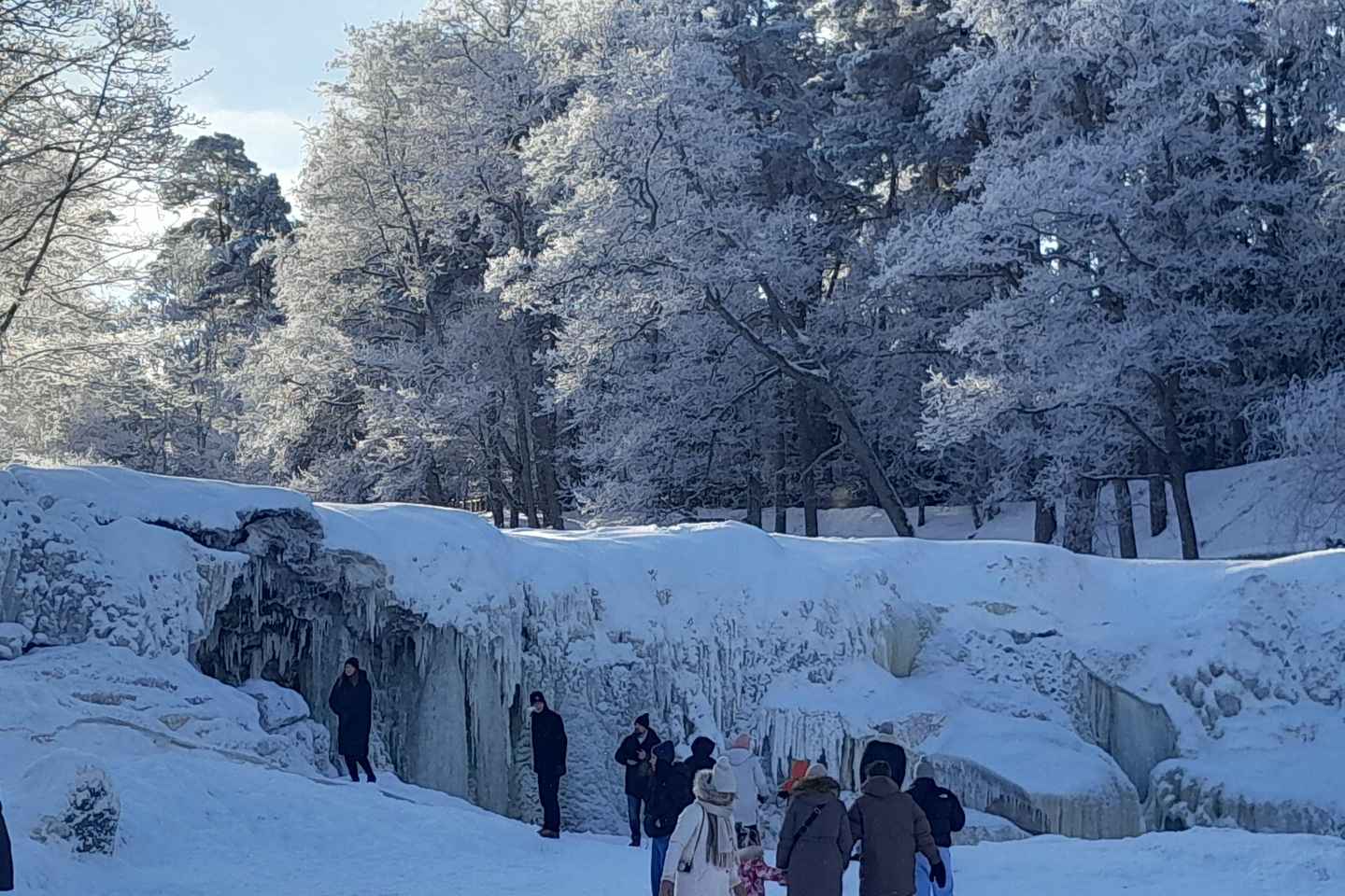 Tallinn: Pakri landscape conservation park and coast 5h