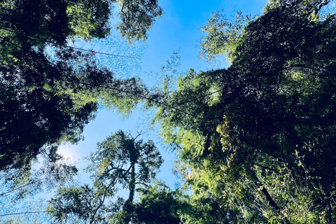 De Chiang Mai: excursão de meio dia para cachoeira e tubulaçãoExcursão de meio dia em Chiangmai - Cachoeira e tubulação