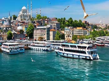 Visite guidée de la croisière matinale d'Istanbul sur le Bosphore