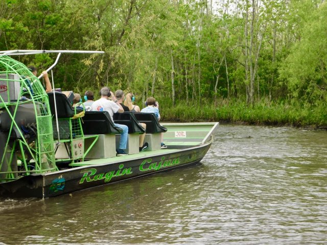 New Orleans: Oak Alley or Laura Plantation &amp; Airboat Tour