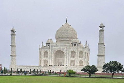 From Delhi : Private 8-Day Golden Triangle With Tiger Safari Tour With 3-Star Hotel Recommendation