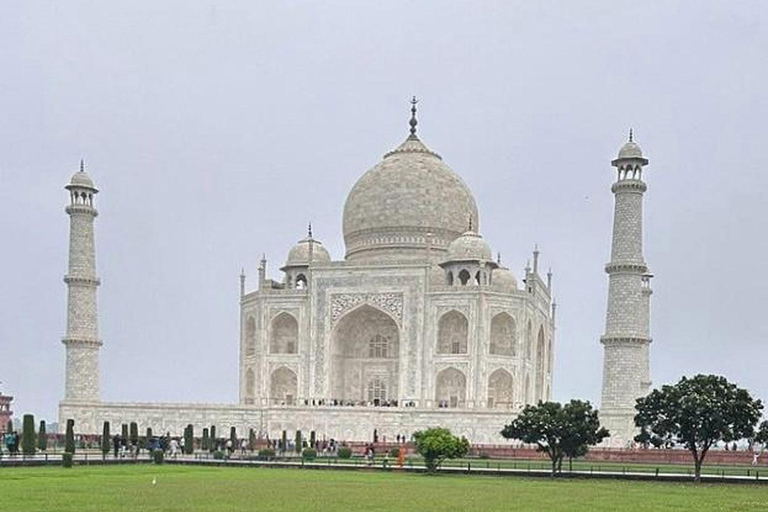 From Delhi : Private 8-Day Golden Triangle With Tiger Safari Tour With 3-Star Hotel Recommendation