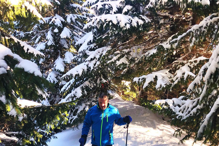 Snöskovandring med Freeride Airboard