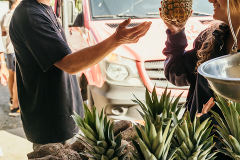 Gedeelde pendelbus van Panama Stad naar Playa VenaoPendeldienst van Panam naar Playa Venao