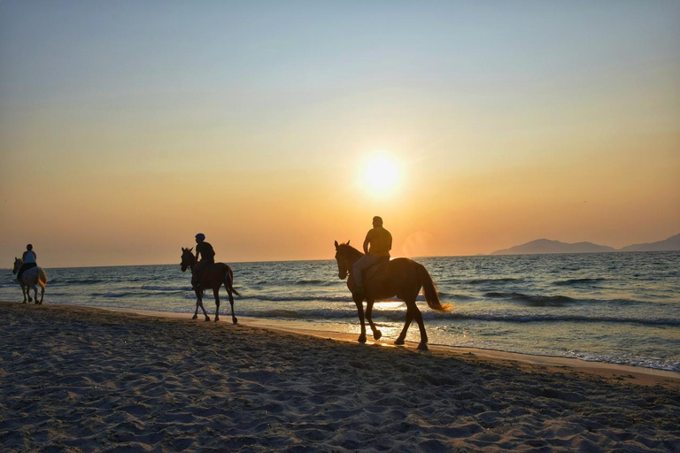 Essaouira: 1.5-Hour Horse Ride & Swim Experience with Photos