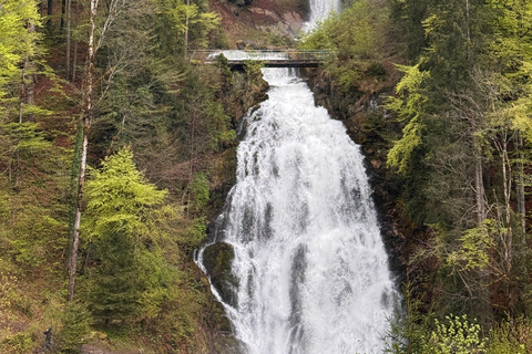 E-Bike Tour to Giessbach Waterfall and Iseltwald