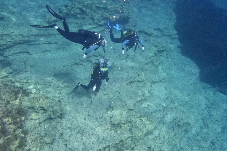 Paphos: Entdecken Sie das Tauchen mit Abholung