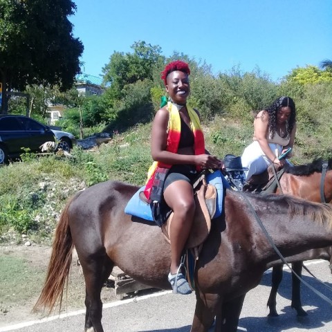 Visit Chukka Horseback Ride & Swim from Montego Bay in Angeles, Pampanga