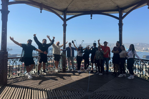 Viña del Mar and Valparaiso: Private Tour
