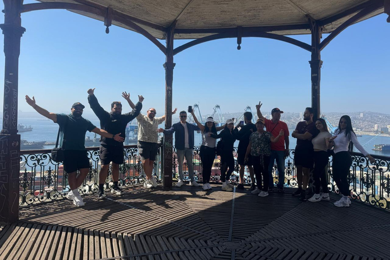 Viña del Mar and Valparaiso: Private Tour
