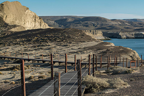 El Calafate: Monte León 4x4 Wolves and Penguins Excursion