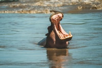 5 giorni di incontro alla fauna selvatica e safari culturali - Housity