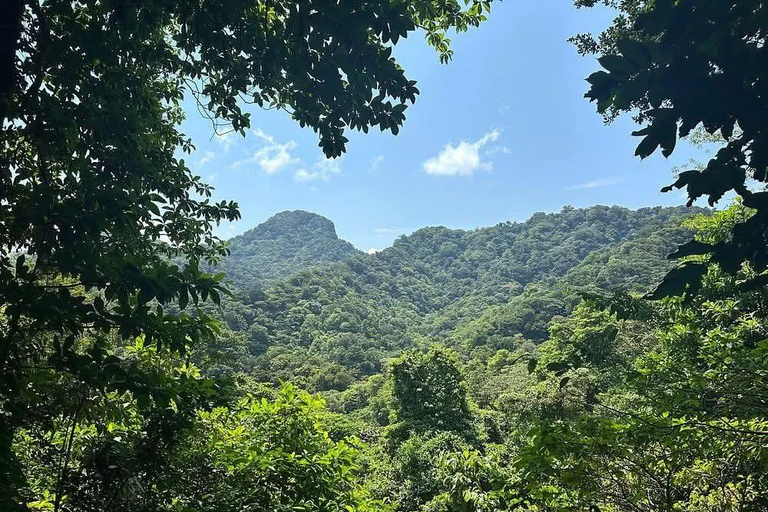 St. Vincent: Rainforest & Beach Guided Tour with Pickup