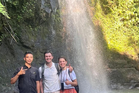 Bali: Ubud Highlights Tour with Coffee Plantation