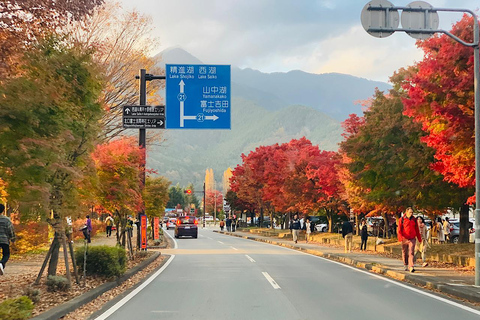 Privérondleiding op de berg Fuji en Hakone