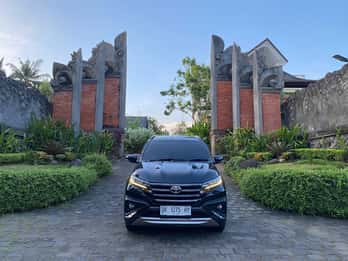 Bali: Private Tour mit Fahrer als Guide