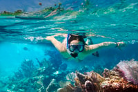 From Da Nang/ Hoi An, Cham Island Snorkeling Private Tour - Housity