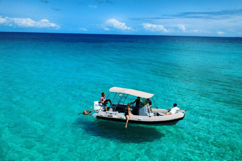 Saint Martin: Boat excursion between beaches, lagoon, and a stop at Maho