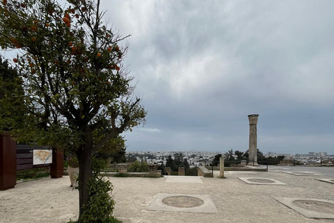 Tunis Express :Carthage, Sidi Bou Saïd & Médina with GENZ