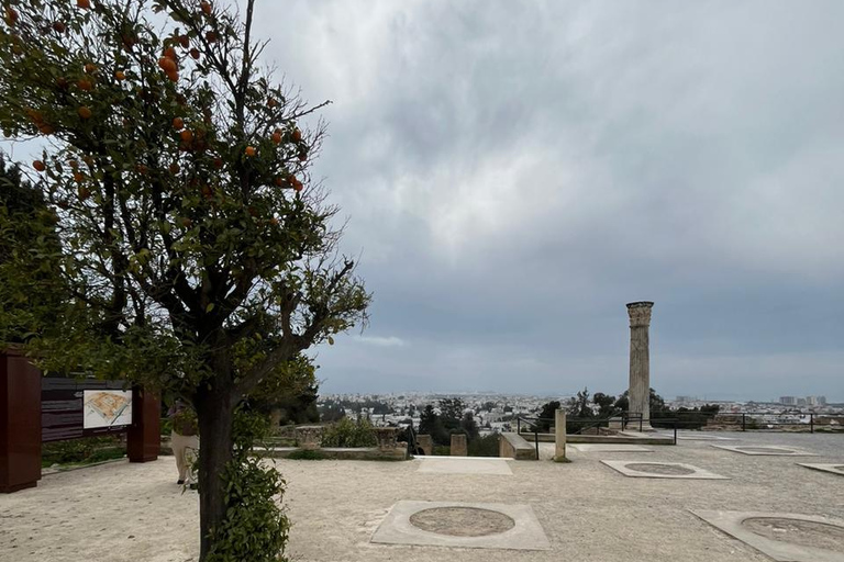 Tunis Express :Carthage, Sidi Bou Saïd & Médina with GENZ