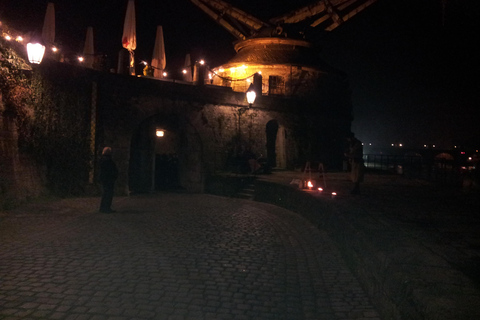 Juego urbano navideño en Wurzburgo con Glühwein y dinámica de grupoJuego navideño en la ciudad de Wurzburgo con Glühwein y dinámica de grupo