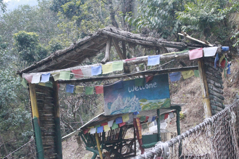 Pokhara: 7-Day Annapurna PoonHill Trek & Chitwan Jungle Tour