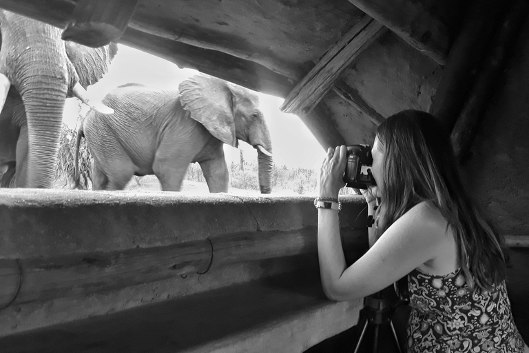 Victoria Falls: Siduli Hide Wildlife Viewing Experience