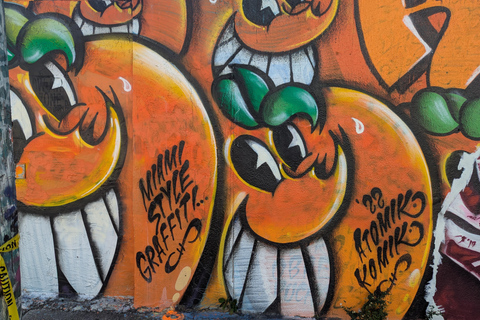 Miami: Street Art Immersion in Wynwood in French (10 people max)