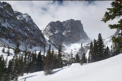 Women's Snowshoeing Tour: Rocky Mountain National Park