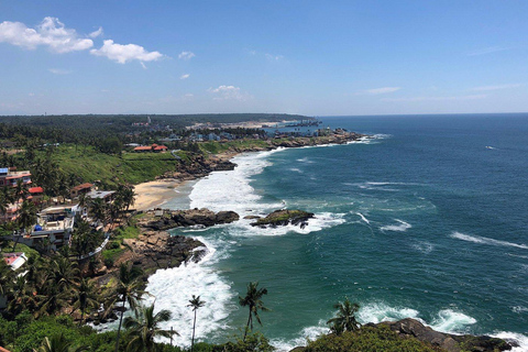 Kochi Airport: Layover City Guided Tour with Transfers 2 Hours - Guided Layover Kochi City Tour
