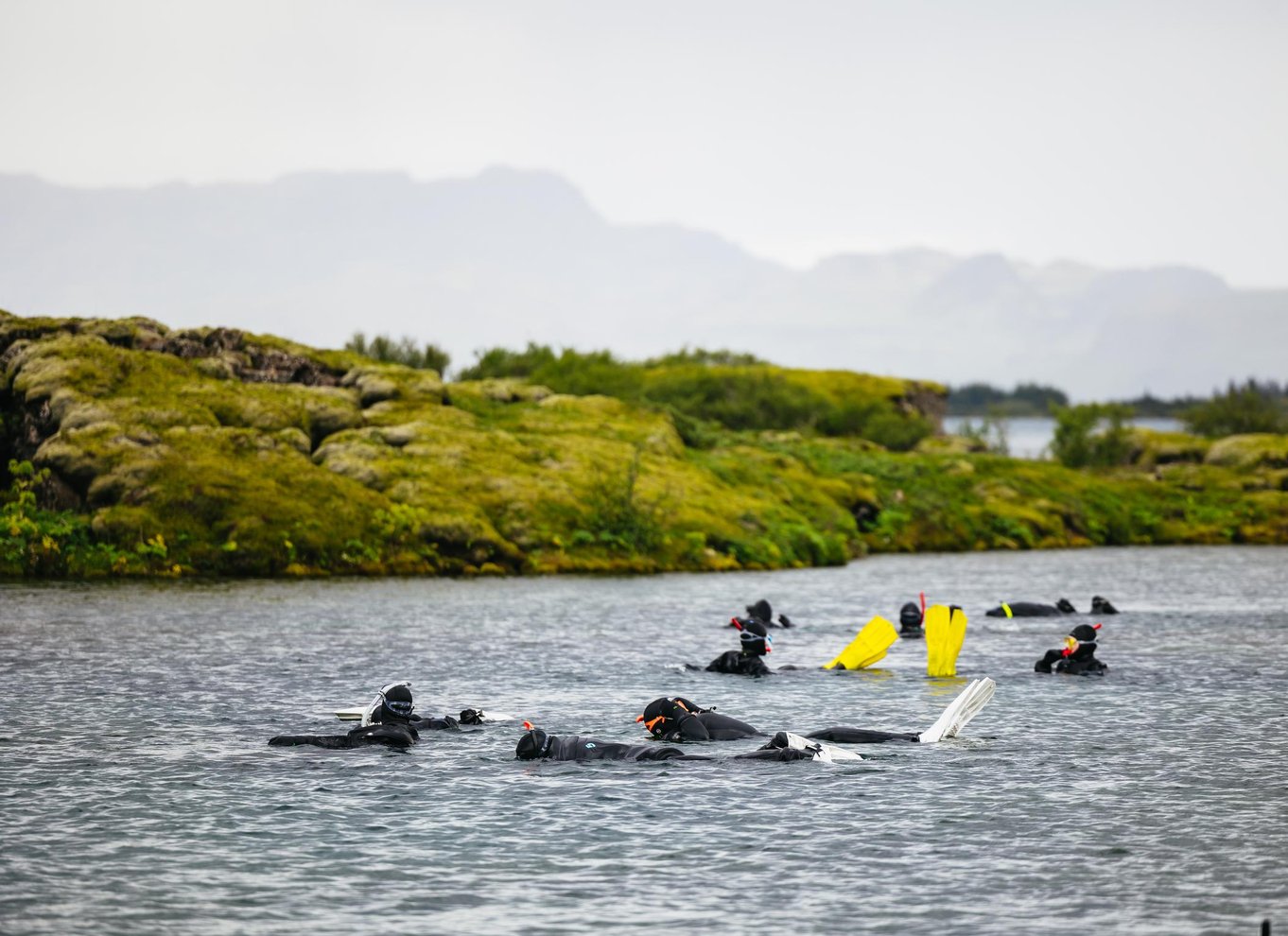 Silfra: Sprækkesnorkeltur med undervandsbilleder