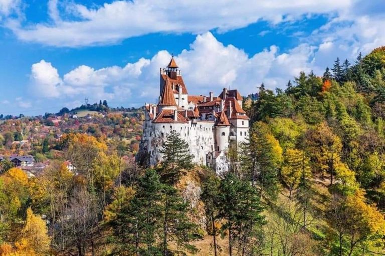 Brasov: dagtour naar kastelen van Bran, Peles en Cantacuzino