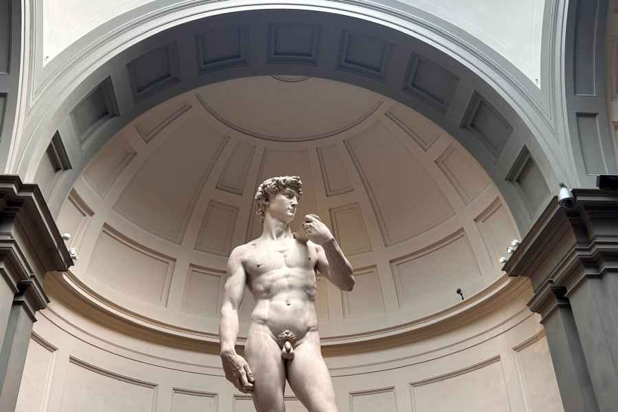 Florenz: Michelangelos David Priority Ticket und Audio App. Foto: GetYourGuide