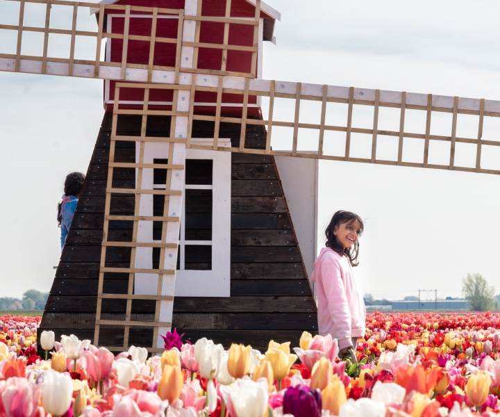 Lisse: Tulpenbelevingsticket met museum en bloemenpluk