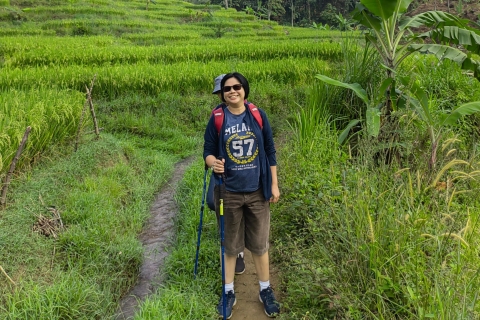 Von Jakarta aus: Bogor Trekking Abenteuer