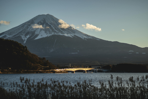 From Tokyo: Mount Fuji Full-Day Customizable & Private Tour Luxury MiniVan (1 upto 6)