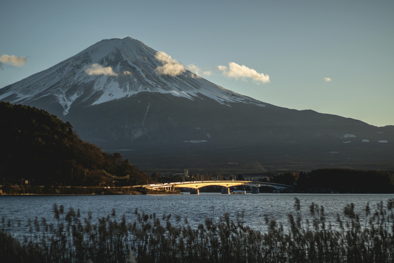 From Tokyo: Mount Fuji Full-Day Customizable & Private Tour Luxury MiniVan (1 upto 6)