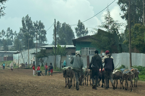 Addis Ababa: Authentic Coffee, Injera & Culture Experience