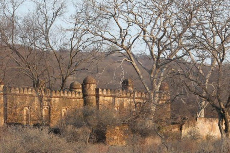 From Delhi: Ranthambore Wildlife Safari Tour with Transfers