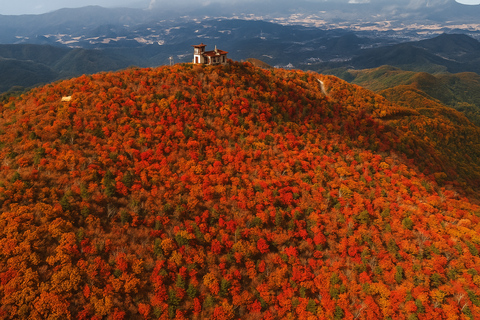 Balwangsan Day Tour: Forest Trails & Scenic Highland Views Shinsegae Duty Free (Myeongdong)
