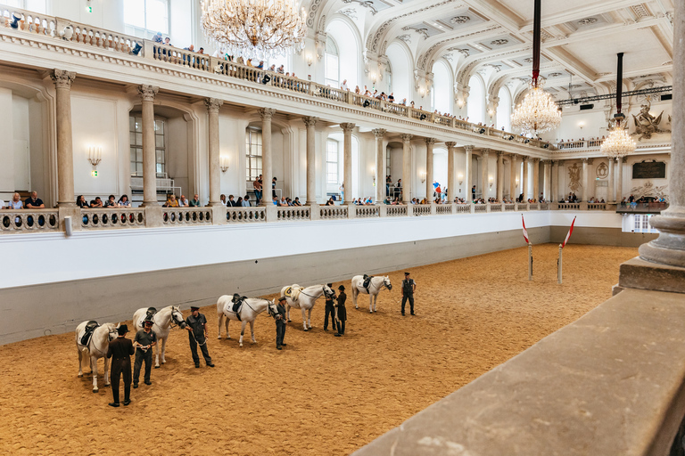 Vienna: Spanish Riding School Training