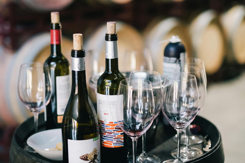 Pisco &amp; Wine Tasting Tour: Descobre a fascinante viagem do Pisco