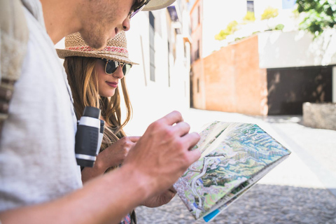 Avignon: Express promenad med en lokalbo på 60 minuter