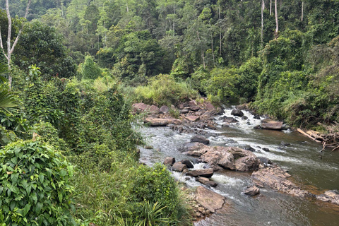 Colombo Galle to Sinharaja Rainforest day tour