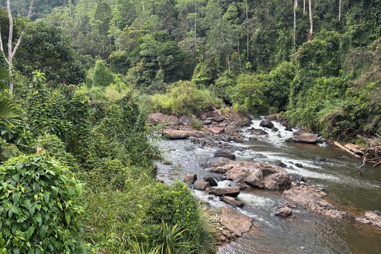 Colombo Galle to Sinharaja Rainforest day tour