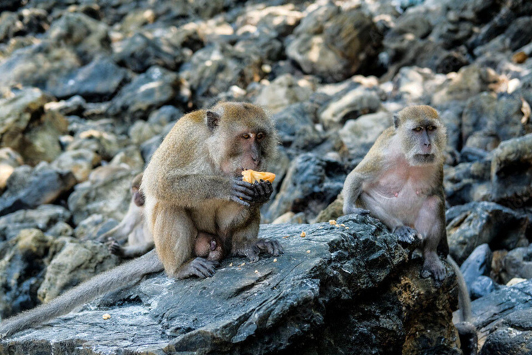 Phuket: James Bond Island Sea Canoe with Sunset by Big Boat Day Trip with Shared Transfer Excluding National Park Fee